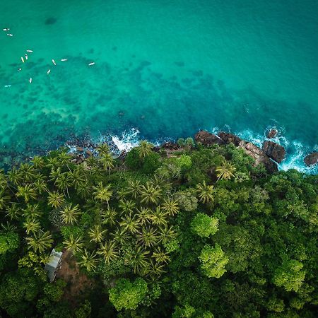 The Salty Pelican Yoga & Surf Retreat Dikwella Ngoại thất bức ảnh