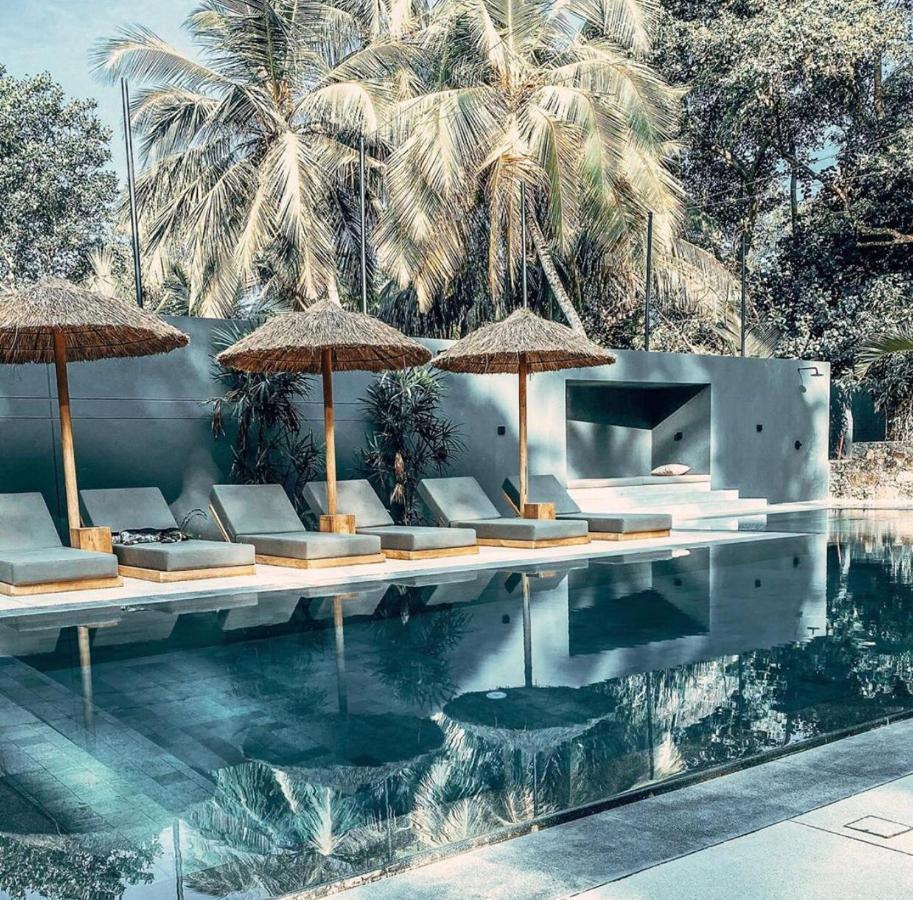 The Salty Pelican Yoga & Surf Retreat Dikwella Ngoại thất bức ảnh